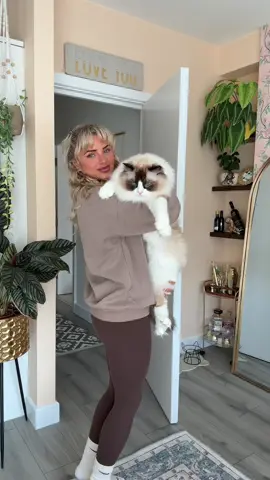 Presenting my gentle giant, ✨ Gatsby ✨ 