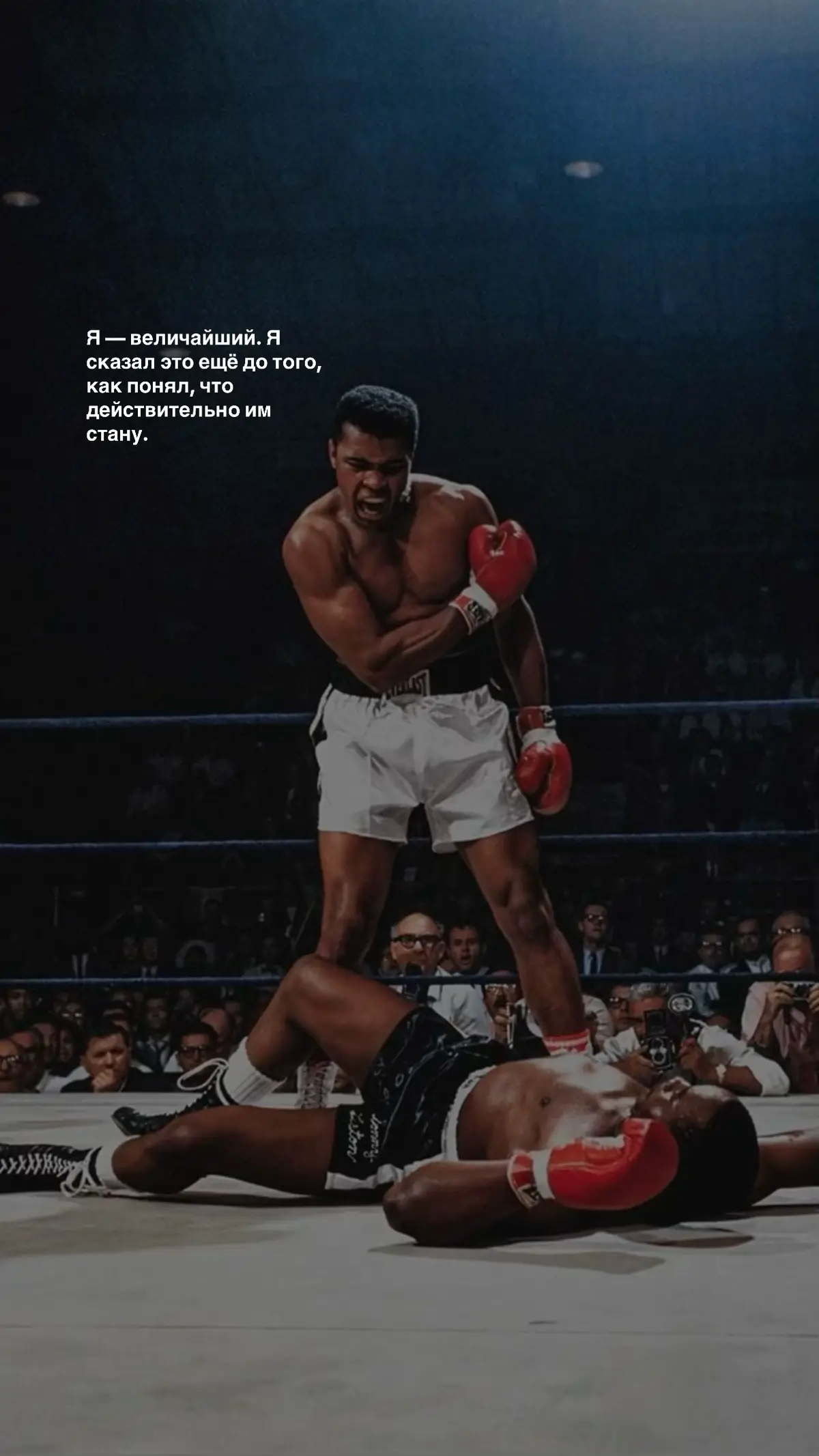 Каждый из них начинал с нуля. Мухаммед Али — говорил, что он величайший, ещё до того, как им стал. Коби Брайант — тренировался, пока другие спали, и сделал боль своей силой. Усэйн Болт — 4 года ради 9 секунд славы. Арнольд Шварценеггер — не имел плана Б, потому что не собирался проигрывать. Криштиану Роналду — доказал, что дисциплина сильнее таланта. Эти люди не просто спортсмены. Они — символ веры, труда и настойчивости. Их слова — не цитаты, а принципы жизни. Каждая из них напоминает: путь чемпиона начинается там, где остальные сдаются.