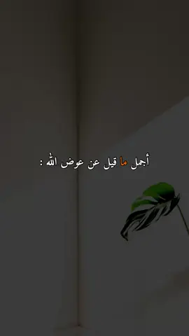 أجمل ما قيل عن عوض الله#قران #قصص #fyp #foryou #viral 