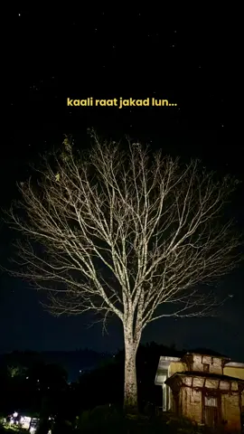 Mera naam ishq Tera naam ishq ❤️ #travel #nature #nepal #laalishq #oldhindisong 