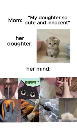 she after discovering dippy ai: #animememes #memes #characteraibot #fun #animememe 