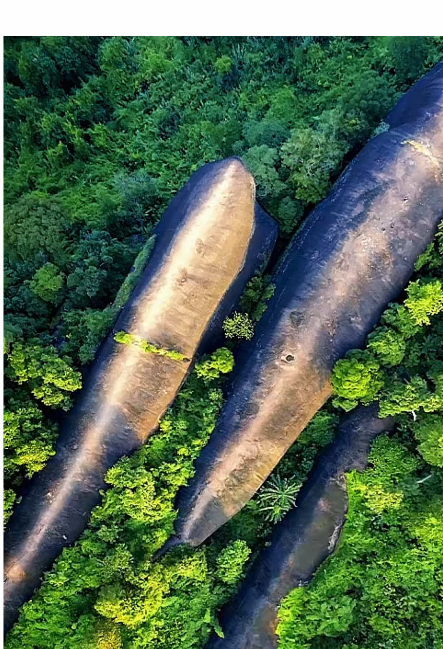 The 75-million-year-old rock looks like three whales.#naturalwonders #marinelife #rock