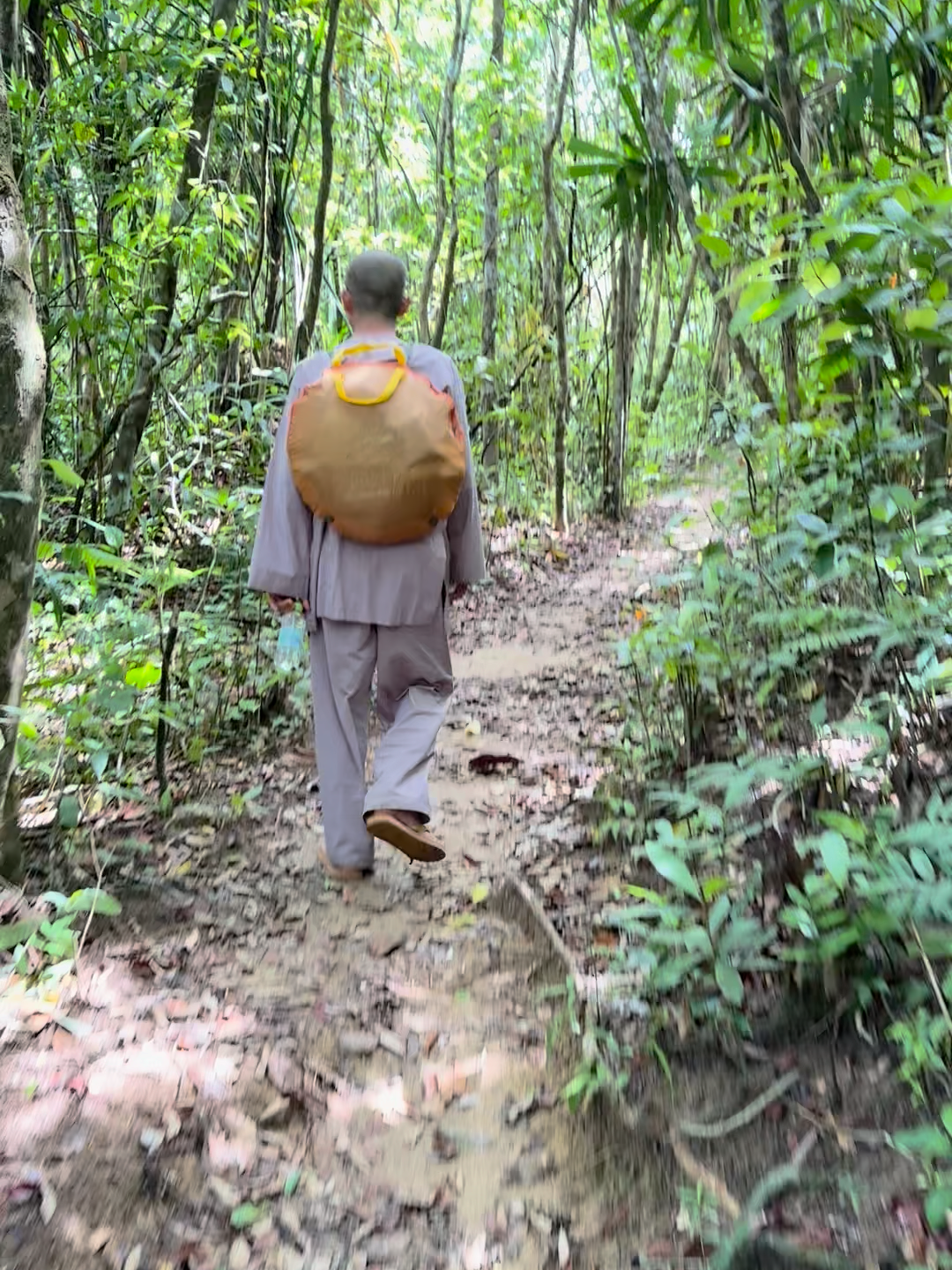 Các bạn có biết vì sao trong video này chỉ có mình Đức Thầy và người quay phim không?  Vì cả đoàn dù toàn thanh niên cũng không theo được bước chân của Đức Thầy.  Khi leo núi, gần như độ cao của quả núi không làm khó được gì Đức Thầy. Thầy đi nhanh và khỏe.  Một sức dẻo dai phi thường của người tu chứng mà người thường khó có ai sánh kịp. Và đương nhiên người quay phim cũng không hề tầm thường rồi ^^ #ducthaythichmathanh #phatphap #truonglaothichthonglac #loiphatday #tiktokviral