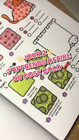 JOUR 2 - J’APPRENDS À FAIRE DU COSY COLO 🖍️  #cosycolo #debutant #feutresalcoolaction #feutresalcool #fyp