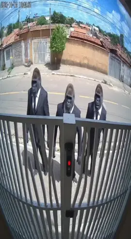 Testemunha de jeovaaa 😂😂 #caramelo #gorilla #memes #sora2 