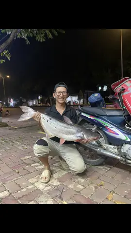 Hai con không biết ăn sao hết #cauca #caucagiaitri #caucatunhien #caudai 