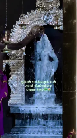 Muruga 🪷🦚 #murugan #tamilkadavulmurugan #tamil #Love #myeverything 