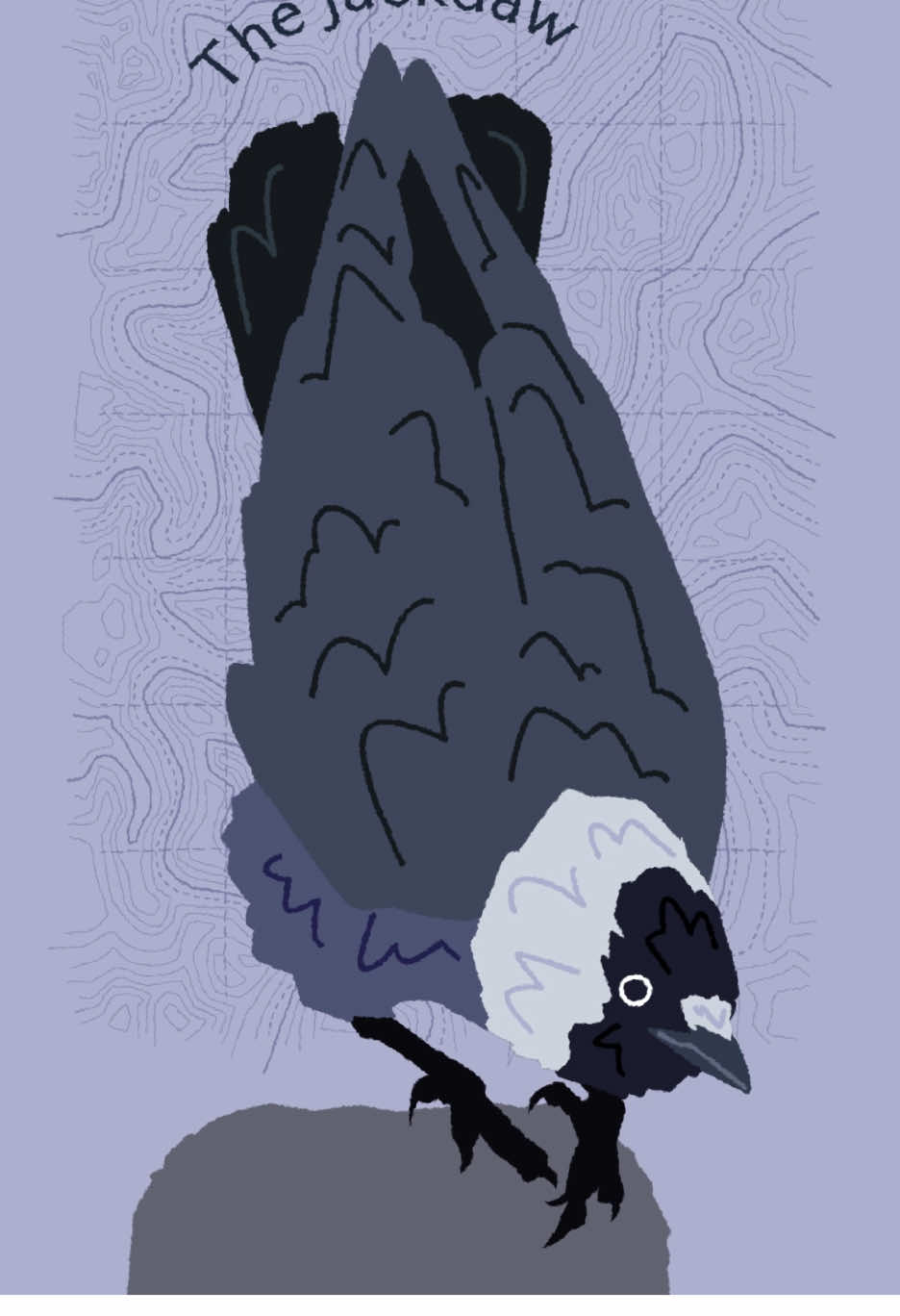 Fun fact: this is my fav birbs