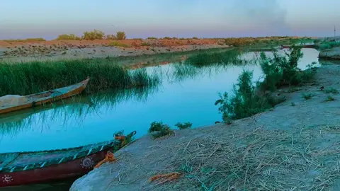 صير عله اخوتك منكاش#_كاطع_المياحي #تصويري📷 #تصميم_فيديوهات🎶🎤🎬 #كاب_كات #هاشاتاقات_تيك_توك_العرب 