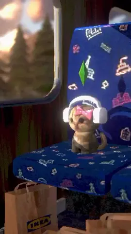 cit cir peşimin bıyakkk🙂‍↔️ . . . #catlover #keşfet #fy #fyppppppppppppppppppppppp #keşfetteyizzz 