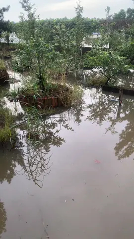 Mọi người cần vào tham khảo #TikTokAwardsVN #thevampirediaries #xuhuong #at 