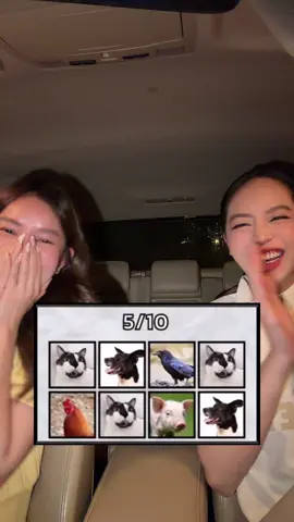 Lâu lâu mới gặp bạn mà hành bạn quá😂 @Lynaana #huynhthithanhthuy #thanhthuy 