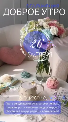 #26октября #воскресенье #новинки #доброеутро #новыйдень.
