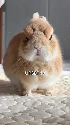 Feeling playful today! 🤩