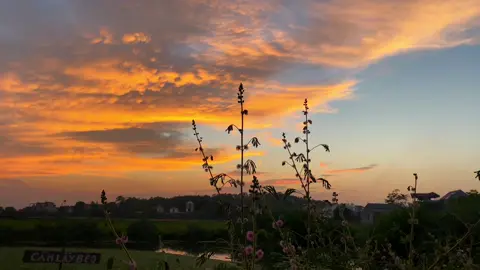 #CapCut sad mood music #xh #fyp 