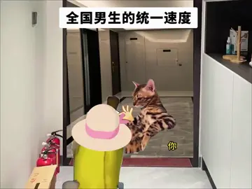 全國男生的統一速度 #貓meme #catmeme #搞笑 #內容過於真實 