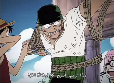 سيافي و كفى✋🏻 #animeedit #تيم_ڤيلورا🏴‍☠️ #explore #onepiece #zoro 