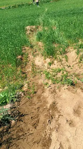 #kesfet #kesefetecikart #herbiciler #qarabagazerbaycandi 