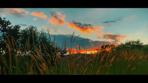 📸🌅#fallinlove #capcut #chill #sunset 