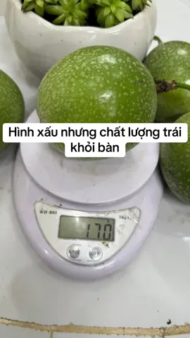 Hình xấu nhưng chất lượng trái khỏi bàn#đanvyfarms #chanhday #chanhdayngot #chanhdayhuongoi 