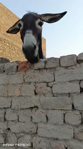 🤣🤣🤣🤣🤣🤣🤣🤣🤣