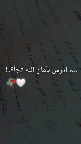 🌸🤍🙂#بحبكم❤️ #ترند #فولو #🤦🏼‍♀️🙃 #😩🎀 ##تركيا_اسطنبول_العراق_سوريا_مصر #حلبية 🥀💕