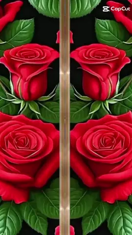 Assalamu'alaikum Warahmatullahi Wabarakatuh 🌹❤ #bismillahfyp# #ahadsemangaaat# #CapCut#