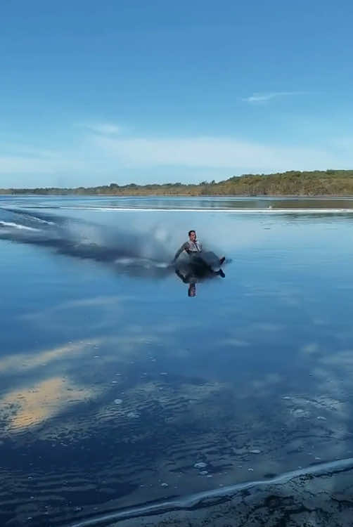 Smooth moves done by humans#smoothmoves #reaction #skills #wow #amazing