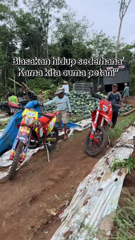 Petani abis#abcxyz #petanimuda 