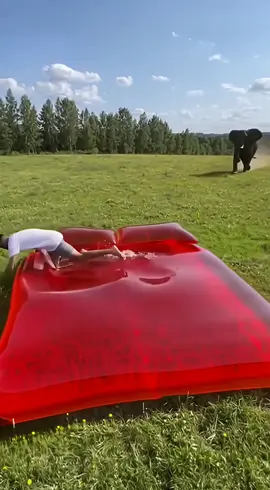 He just wanted to have fun… until the elephant joined 😭🤣 #jellybed #Jellybed #viralvideo #cinematicai #funnyvideo #unexpectedmoment #elephant #jellybed #satisfyingvideo #aiinnovation #realisticai #shortfilm #wowmoment #naturevibes #funnyai #aestheticvideo