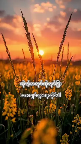 #မော်ကျွန်းဆရာတော်အရှင်သုစိတ္တ #တရားတော်များ #ဓမ္မဒါန #တရားနာ၍စိတ်ရောကိုယ်ပါအေးချမ်းကြပါစေ😊🙏🌹 #တရားနာယူချင်းဖြင့်စိတ်အေးချမ်းပါစေ🙏🙏🙏 