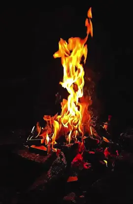 #الرادود مصطفى السوداني #بالگلب تركوا اثر  #والله يحنون الضهر