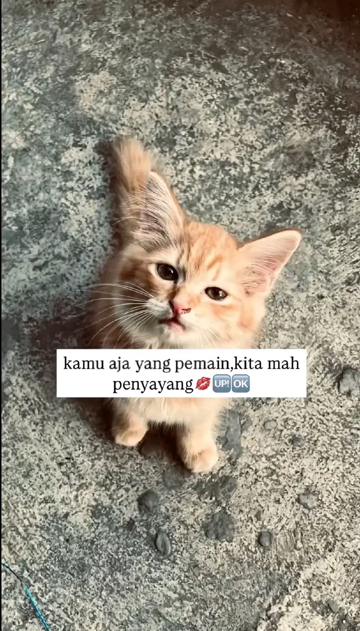 hmm🤔🤔#palembang #masukgalo 