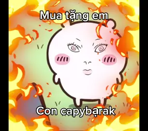 Mua tặng em con cạpy bạ rak😘😘#xh #viral  #chiikawa  #usagi  #hachiware  