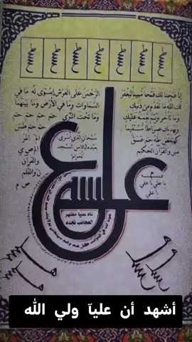 السلام عليك يا امير المؤمنين 💚 #ياعلي_مولا_عَلَيہِ_السّلام #tiktok #viral #fyp 