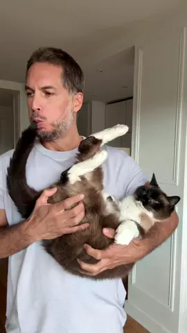 This is Chopin. He’s not just my cat, he’s my little piece of calm in a crazy world. He doesn’t say much… but somehow, he always knows when I need him. 🐾💛 Bad boys 😼😎 #cat #crazy #happylife #bestfriend #crazycoachy 