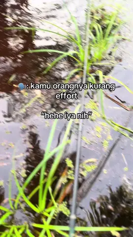 kalo ga effort ga dapat ikan☺️ #mafiaparitgroup🤟 #mancing #fypシ 