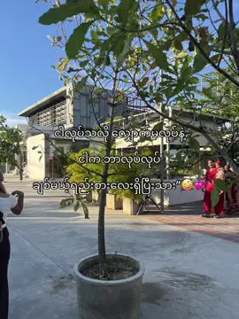 ငါလုပ်သလိုလိုက်မလုပ်ကြနဲ့”#fyyyyyyyyyyyyyyyyyyy #fypシ゚ #foryou #စာတို #ကြေကွဲလူငယ်၄ #fyppp #fypシ゚viralシ #viewတွေရှယ်ကျ 
