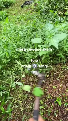 #fakesituation⚠️ #fypシ゚ #peternakmuda #sobatngarit #tukangngarit 