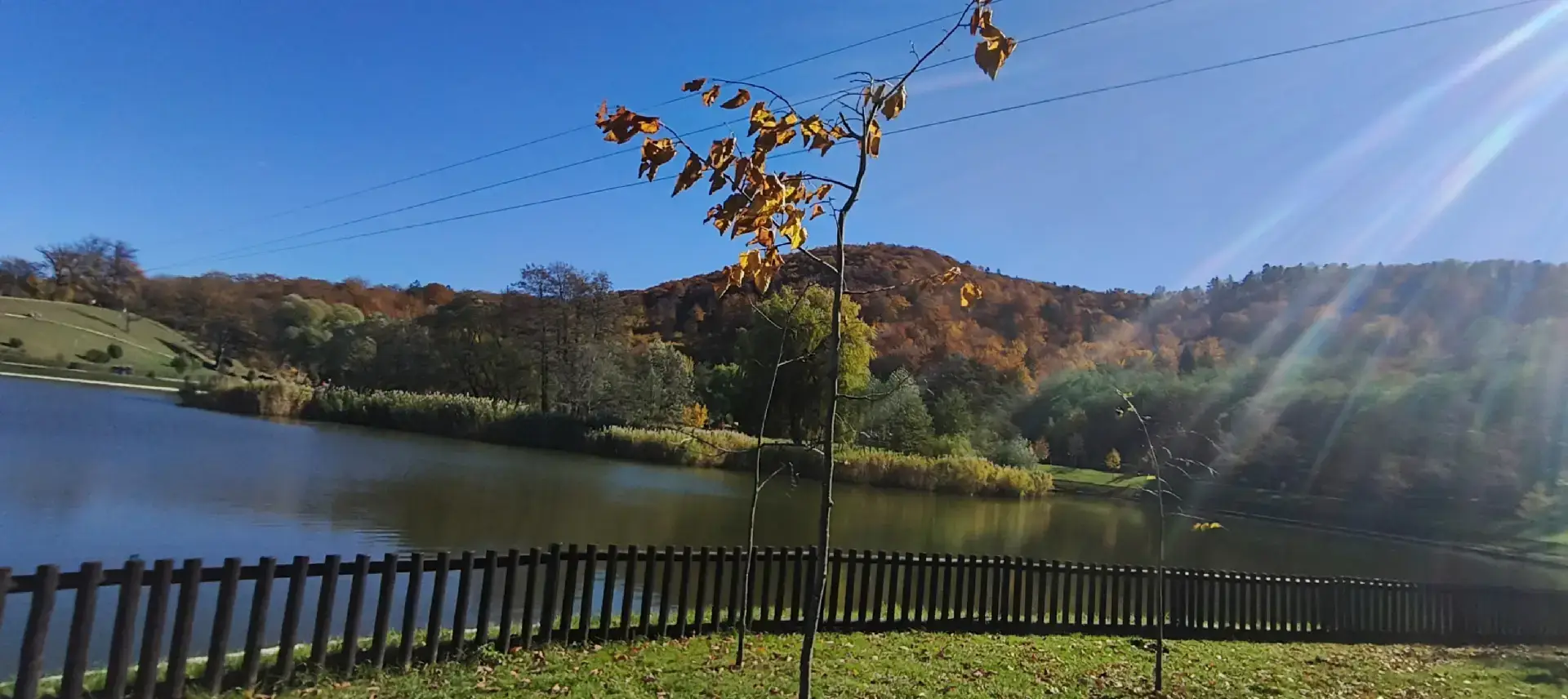 Am fost la Festivalul Placintelor de la Lacul Noua insa nu o sa va arat placintele asa cum va asteptati, pentru ca sunt bune dar scumpe. In schimb va arat natura, ca e gratis.🤣 P.S. Berea, apa, sucul, costa 10 lei si 5 mici, un bulz si o bucata de carnat costa 80 de lei. Placinta moldoveneasca costa 12 lei/ 100 gr si cozonacul 99 lei. Voua va plac festivalurile? #festival #jurnaluliubirii #autumn #nature #pie 