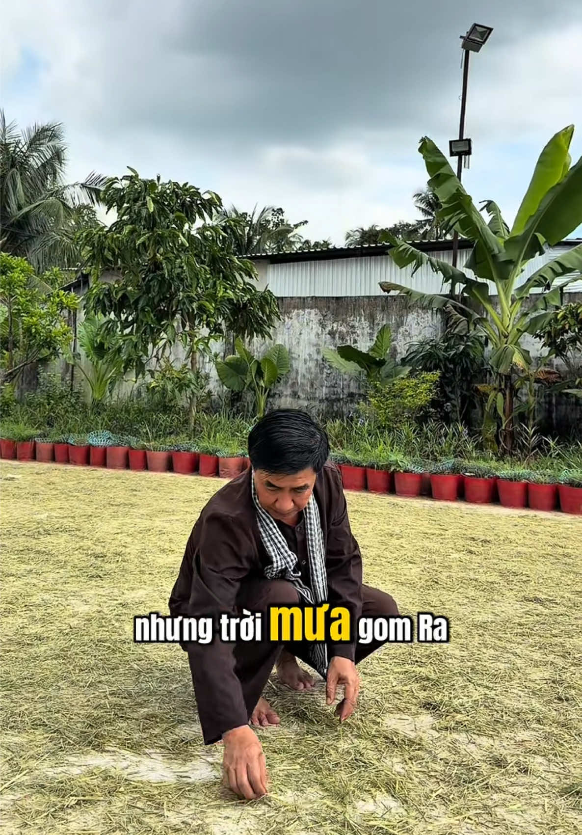 Nỗi vất vả của người nông dân khi trời mưa #xuhuongtiktok #nụ_linh_ứng #Nụ_Ước_Nguyện #tamtaithaitue2025 