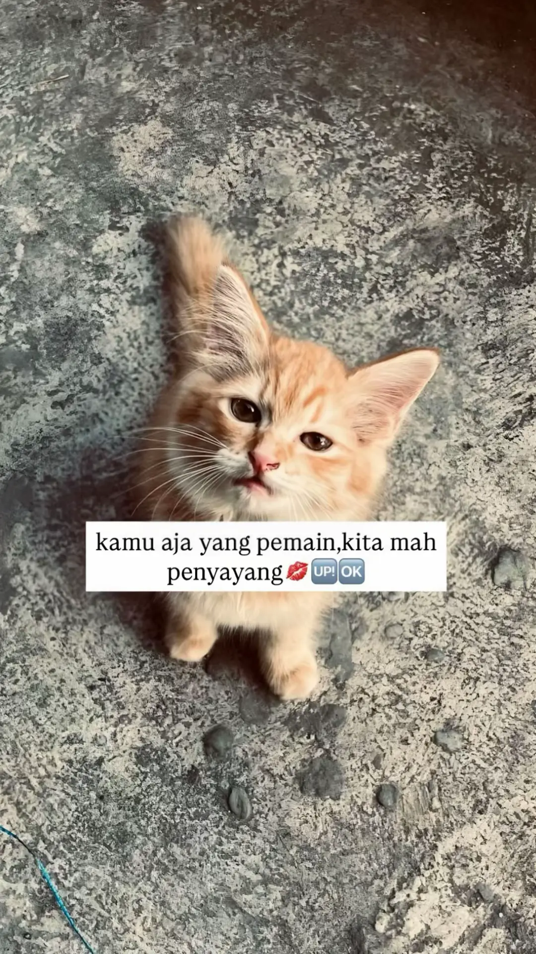 #fyp #fypage 