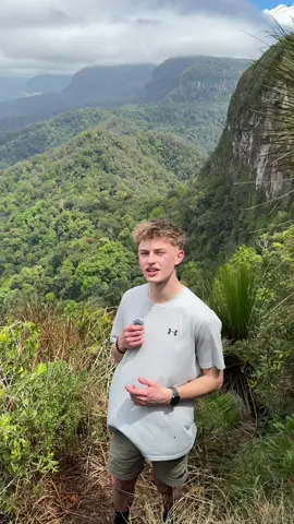 Reach out below to access free training ⬇️