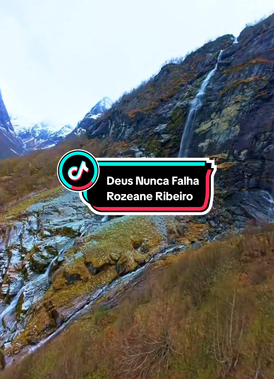 Deus Nunca Falha - Rozeane Ribeiro  #deusnuncafalha #rozeaneribeiro #gospel #fyp #viral 