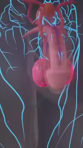 #amazing #health #video #foryou #treading 