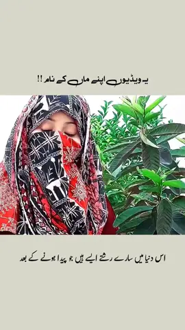 @. @. @. #GoldenWords #fyp #foryoupage #quotes 