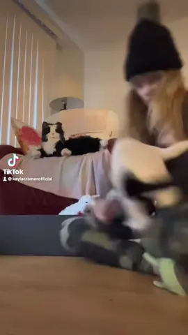 #comedy #humor #funny #omg