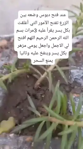 الدبوس يكون مفتوحا