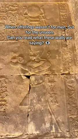 When offerings weren’t for men — but for the unseen.   Can you read what these walls are saying? 👁️‍🗨️   Deep inside Edfu Temple, every symbol tells a story — of devotion, power, and the gods who watched in silence.   #EdfuTemple #UnlockEgyptTours #AncientEgypt #EgyptMysteries #HorusTemple 