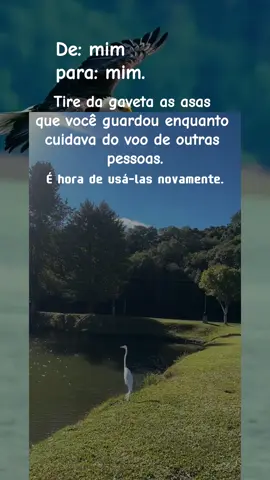 Muitas vezes os sonhos e talentos ficam guardados enquanto se cuida da vida dos outros. É o momento de redescobrir o potencial próprio e voltar a usar as asas que estavam guardadas. #Autocuidado #Liberdade #Inspiração #Crescimento #Motivação   